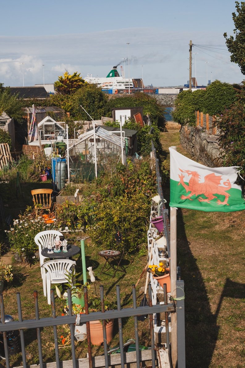 Community Allotment — HOLYHEAD, ANGLESEY