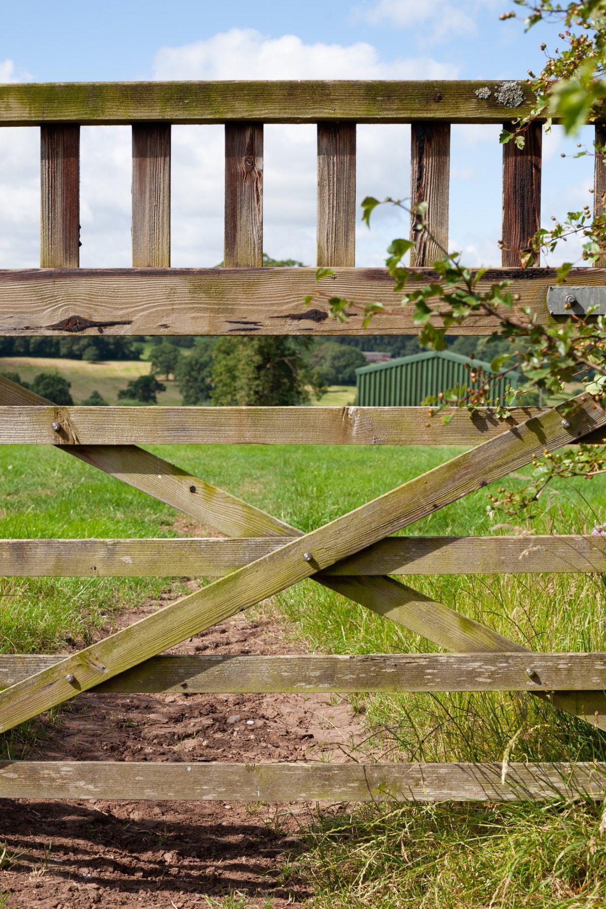 Wooden field gate in Shropshire