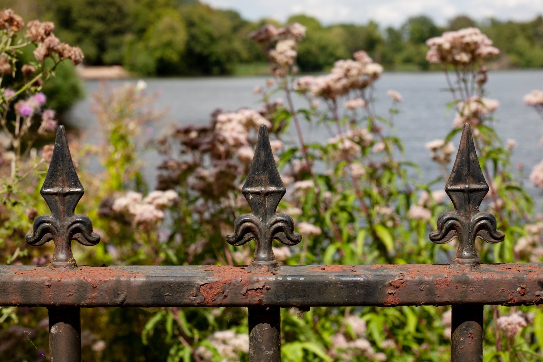 Ornamental iron gate overlooking water